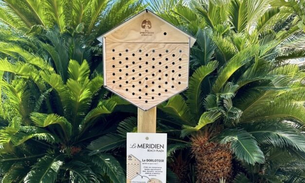Le Méridien Beach Plaza expands biodiversity drive with new mason bee shelters