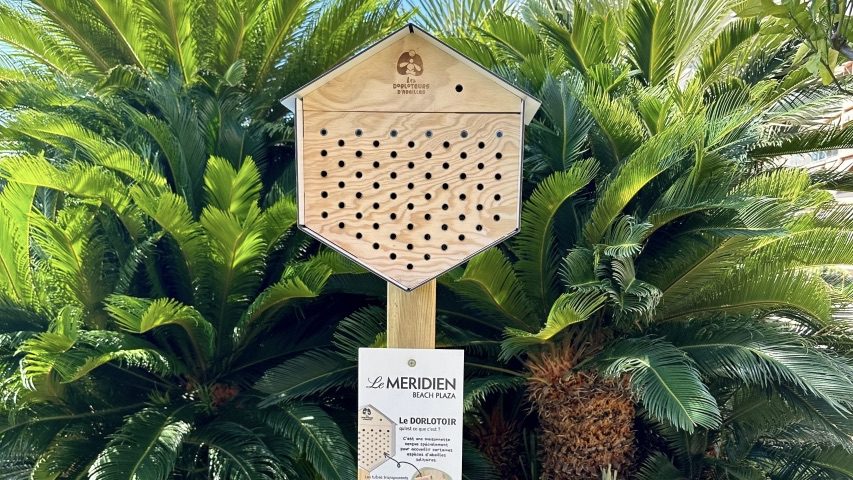 Le Méridien Beach Plaza expands biodiversity drive with new mason bee shelters