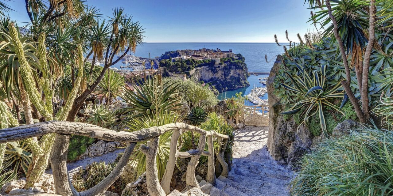 Monaco’s Exotic Garden to bloom again with revamped spaces and new event venue this October