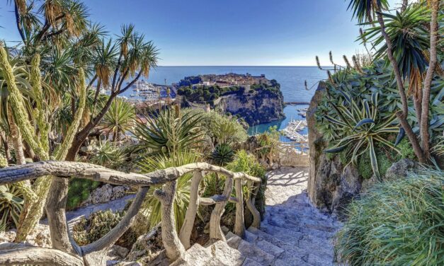 Monaco’s Exotic Garden to bloom again with revamped spaces and new event venue this October