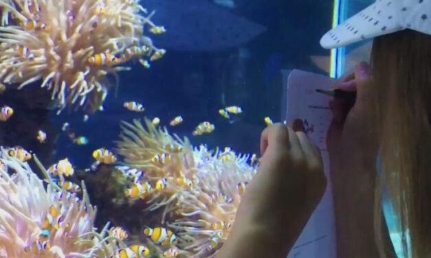 Families dive into Monaco’s ocean wonders