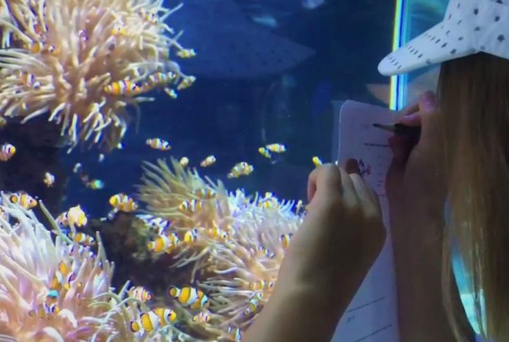 Families dive into Monaco’s ocean wonders