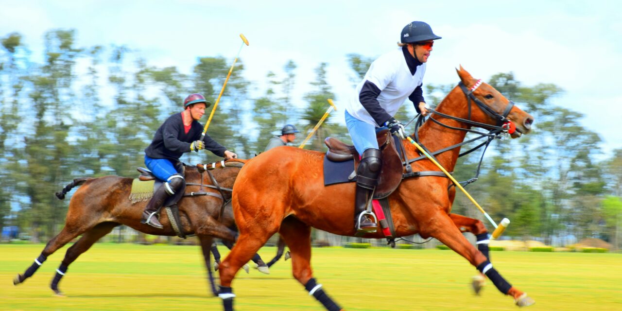 The Monte-Carlo Polo Team launches The Polo Xperience