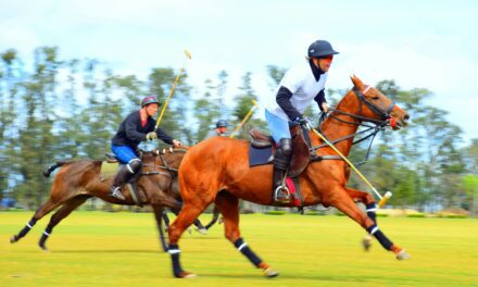 The Monte-Carlo Polo Team launches The Polo Xperience