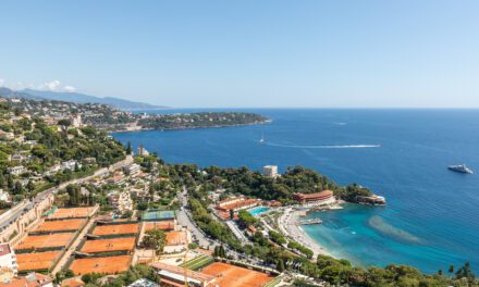 RENT – Parc Saint Roman – 90 sqm – €12,5k / MONTH