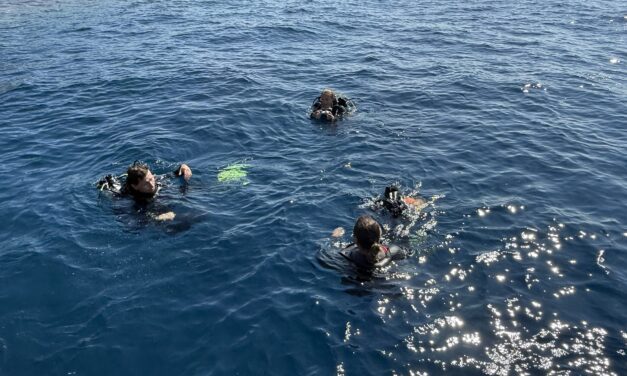 Monaco Dives Deep: The World’s Underwater Photography Elite Descend on the Principality