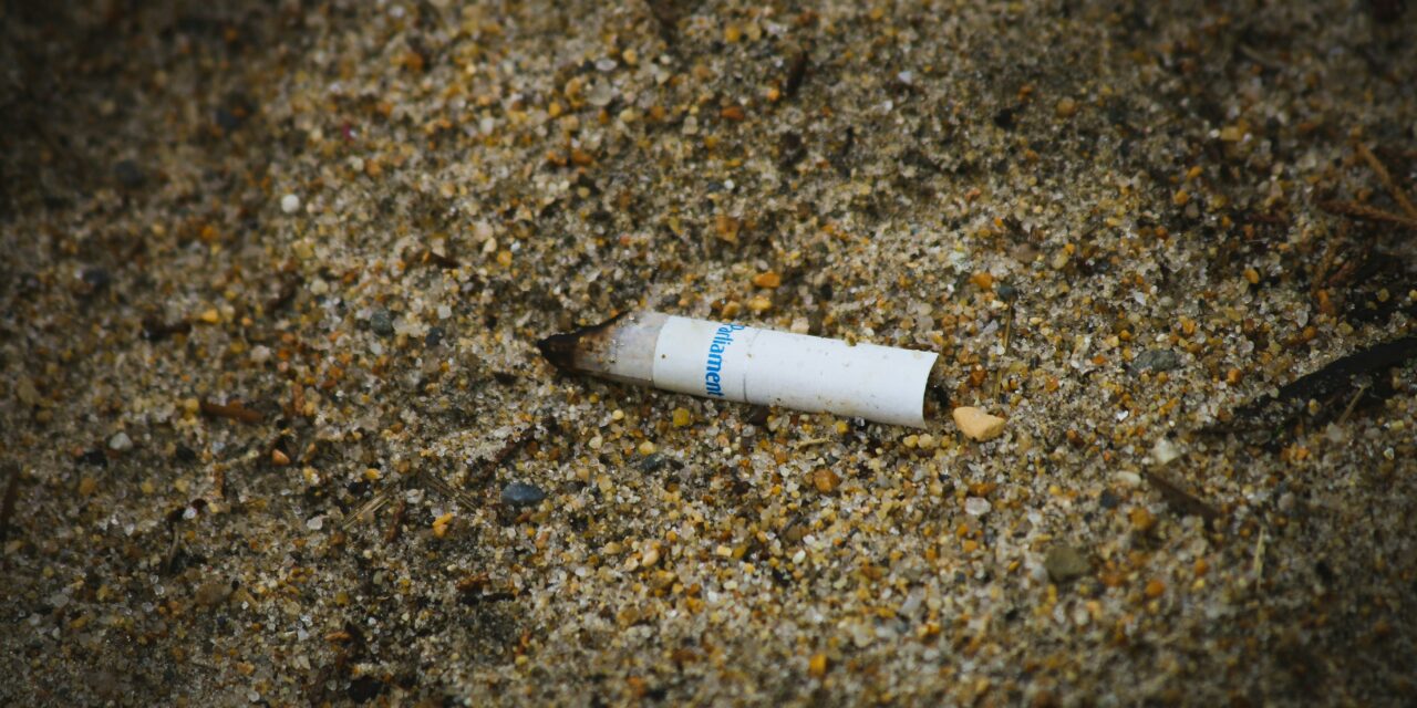 Cigarette butts dominate haul as Monaco joins World Cleanup Day