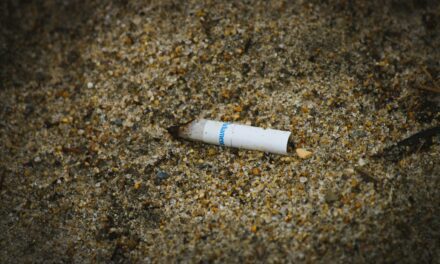 Cigarette butts dominate haul as Monaco joins World Cleanup Day