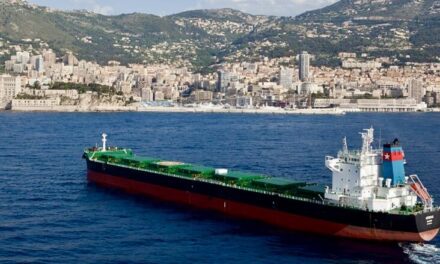 Monaco-based shipping firm Transocean expands fleet with first container ships