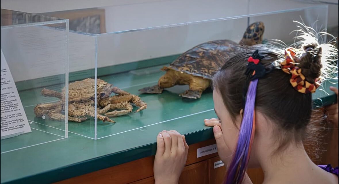 Young archaeologists dig into Monaco’s prehistoric past