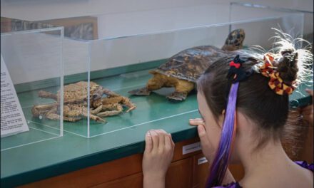 Young archaeologists dig into Monaco’s prehistoric past