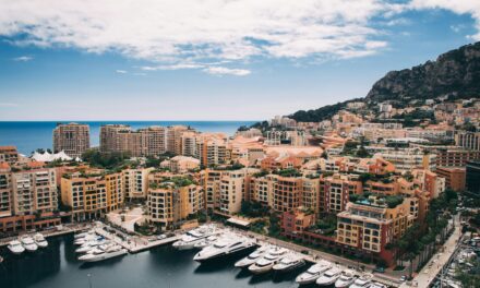 The secret rules behind Monaco’s co-owner votes and how to navigate them