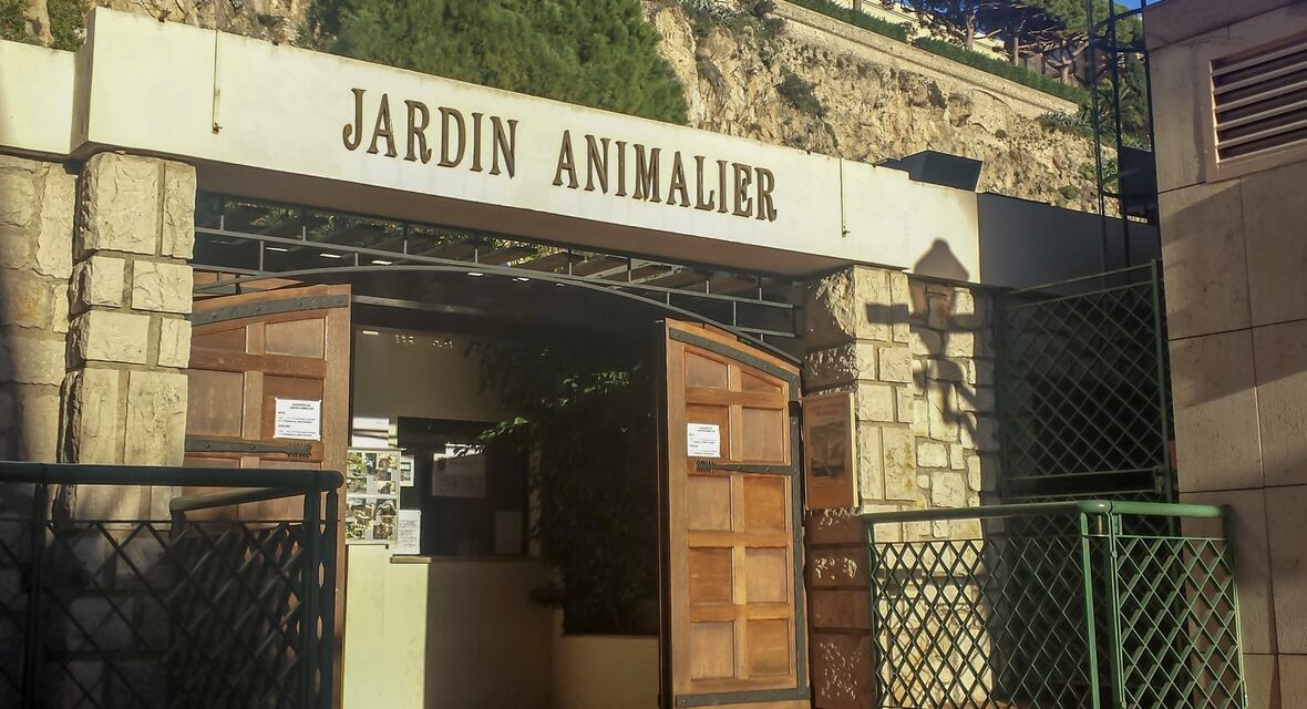 Renovation work begins on escalators by the Rainier III Animal Garden