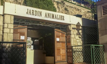 Renovation work begins on escalators by the Rainier III Animal Garden