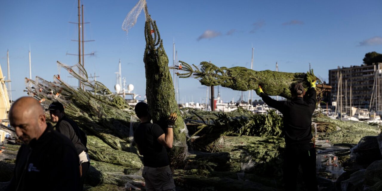 Monaco prepares for a magical Christmas season