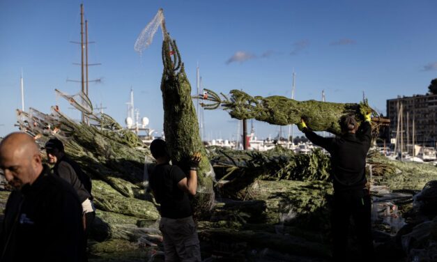 Monaco prepares for a magical Christmas season