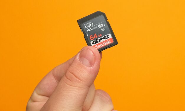 Monaco’s new “digital guillotine” lets you destroy your data, without wrecking the planet