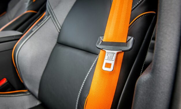 Renewed debate over seat belt law in Monaco