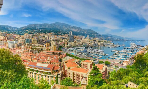 Summer sparkle lifts SBM to €542.5 million half-year revenue