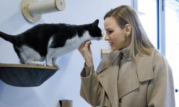 Princess Charlene tours Monaco SPA as Peille shelter gets festive upgrades