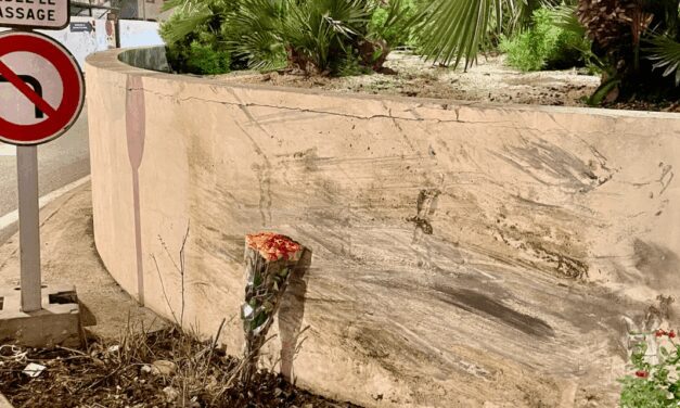 Drunk student jailed after Monaco crash kills two classmates