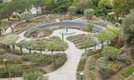 Monaco Rose sale blossoms into fundraiser for Princess Grace Foundation