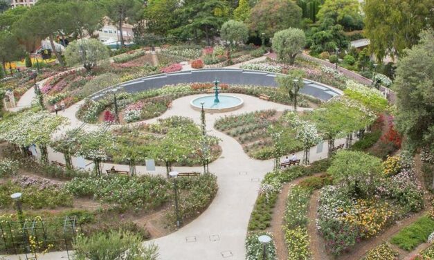 Monaco Rose sale blossoms into fundraiser for Princess Grace Foundation