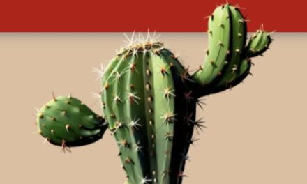 Anonymous Facebook account targeting Monaco officials to be unmasked by Paris Court