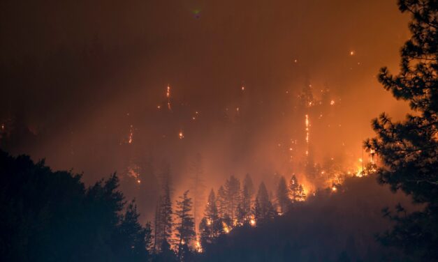 Seafront blaze halts trains as flames sweep Cap-d’Ail coastline