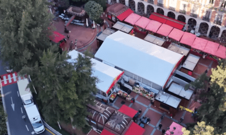 Condamine market thrives as community hub