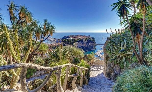 Jardin Exotique set to reopen after six years