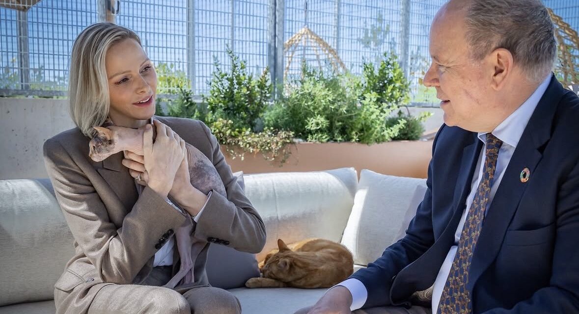 Animal welfare strengthened at Monaco SPA