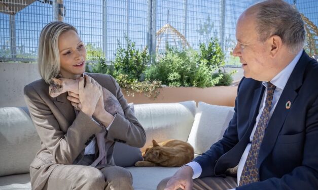Animal welfare strengthened at Monaco SPA