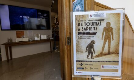 Monaco Prehistoric Museum explores human evolution in new interactive exhibition