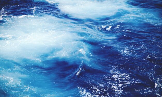 CFM Indosuez strengthens Monaco’s blue economy ambitions
