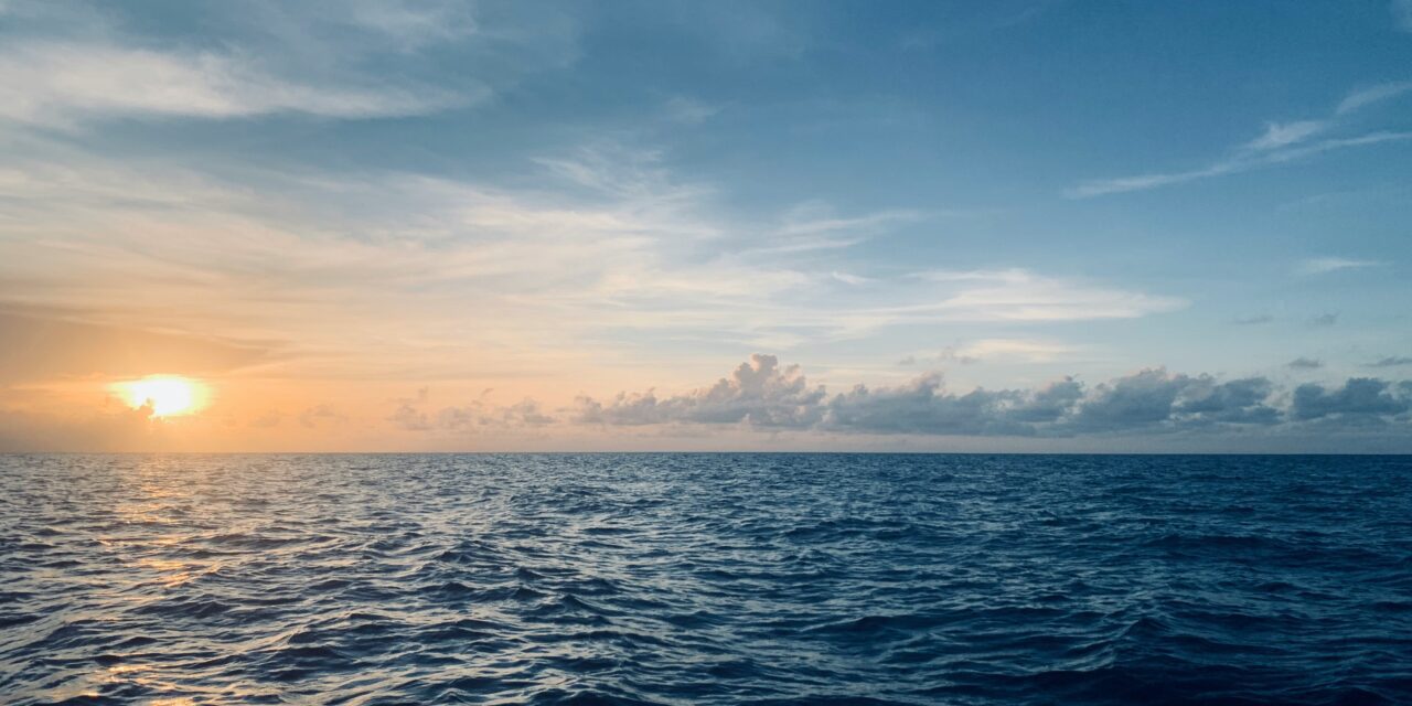 Monaco Explorations charts new course for Indian Ocean conservation