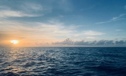 Monaco Explorations charts new course for Indian Ocean conservation