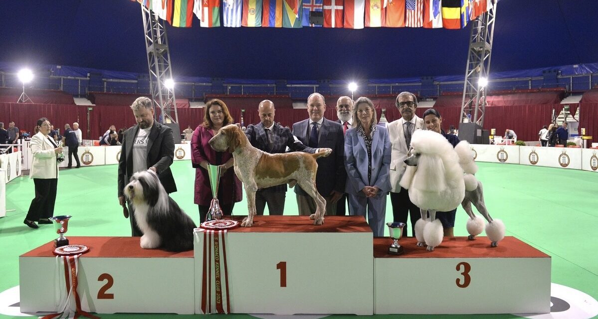 Monaco welcomes hundreds of dogs for international show at Fontvieille