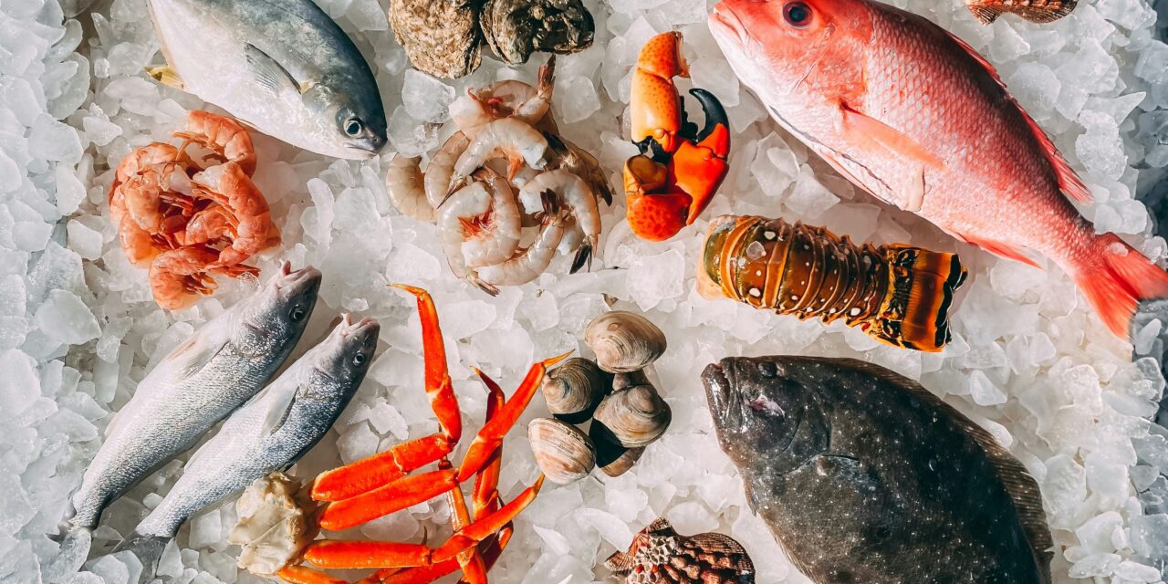 Blue food takes centre stage in global food security debate