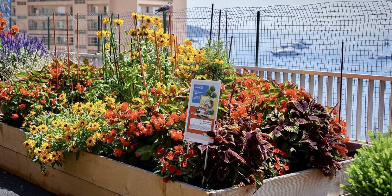 Monaco’s budding gardeners honoured as ‘Draw Me a Garden’ competition blooms for a second year
