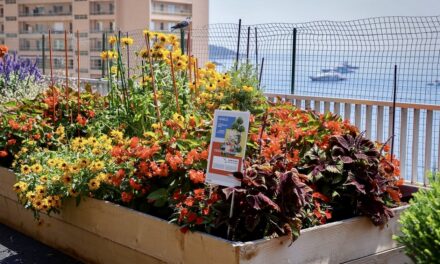 Monaco’s budding gardeners honoured as ‘Draw Me a Garden’ competition blooms for a second year
