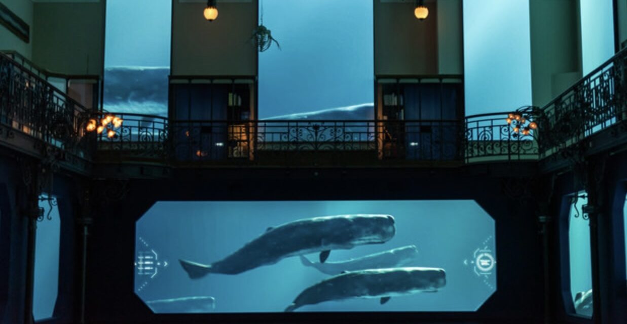 Monaco Oceanographic Museum wins international award for immersive ocean experience