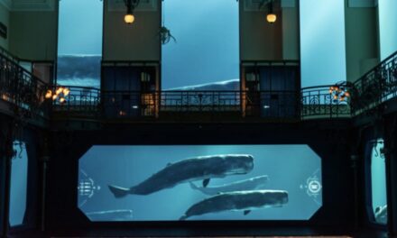 Monaco Oceanographic Museum wins international award for immersive ocean experience