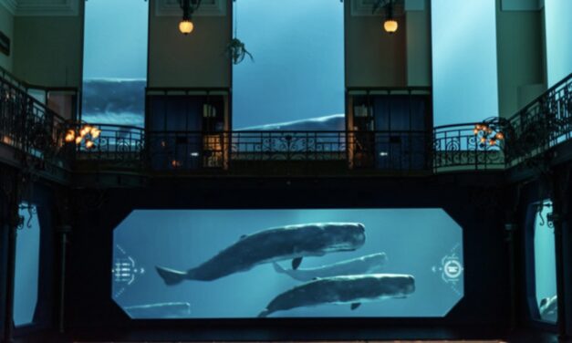 Monaco Oceanographic Museum wins international award for immersive ocean experience