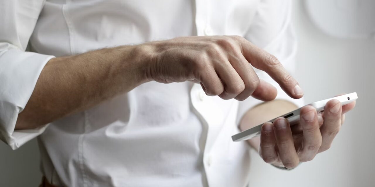 Monaco moves entrepreneur support online with new digital application service