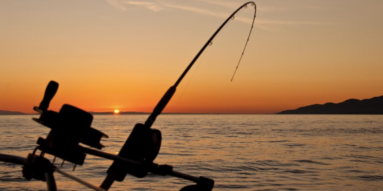Hook, line and click: Monaco digitises shore fishing declarations