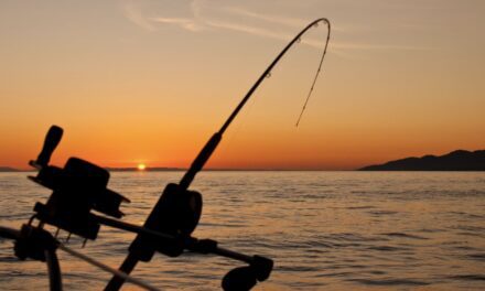 Hook, line and click: Monaco digitises shore fishing declarations