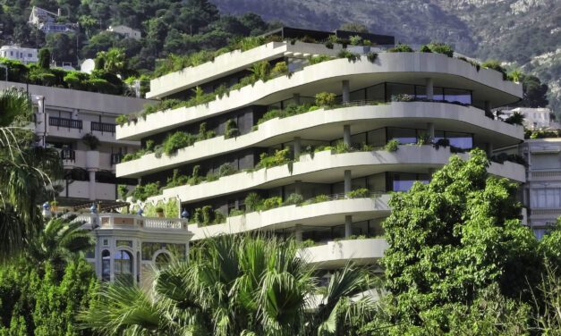 Engeco says La Petite Afrique remains structurally sound after repairs