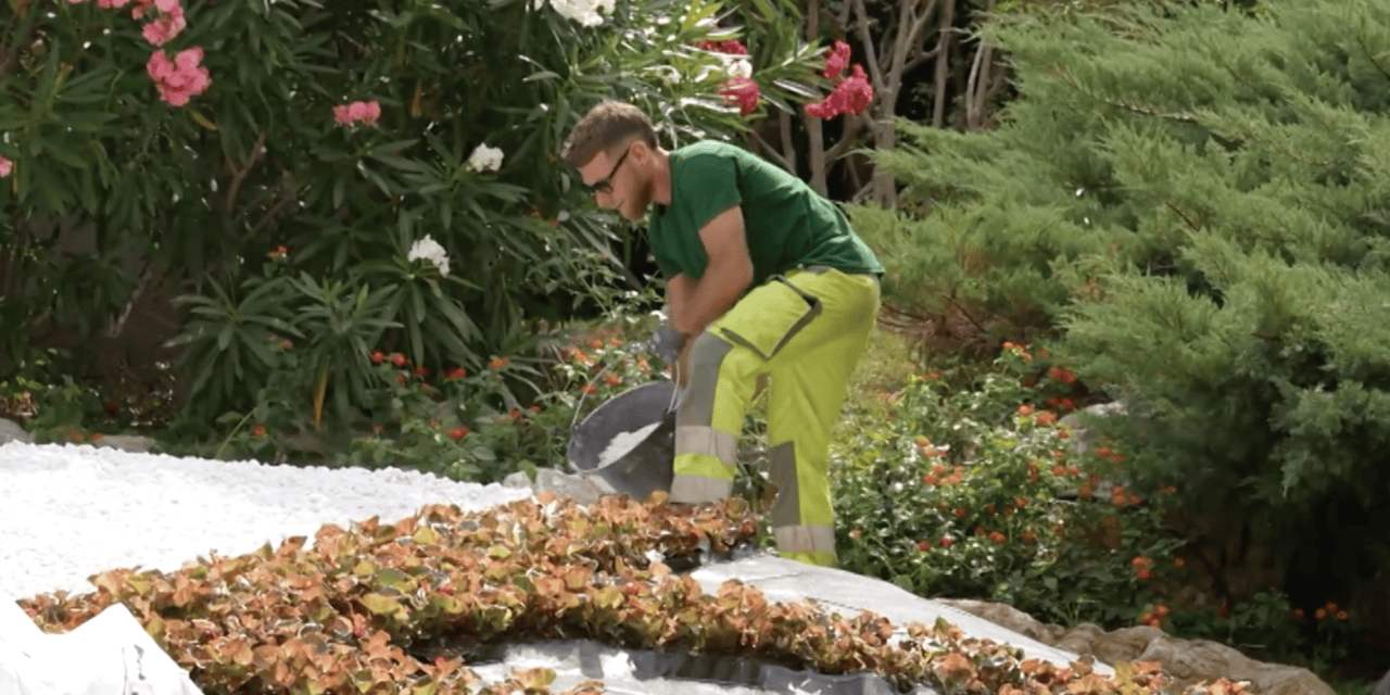 Begonias bloom before bicycle bonanza begins