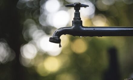 Monaco activates “vigilance” level amid worsening drought conditions
